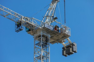 CRANES BUNDLE
