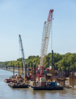 CRANES BUNDLE