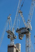 CRANES BUNDLE