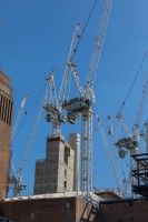 CRANES BUNDLE