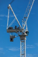 CRANES BUNDLE