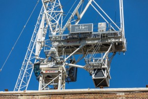 CRANES BUNDLE