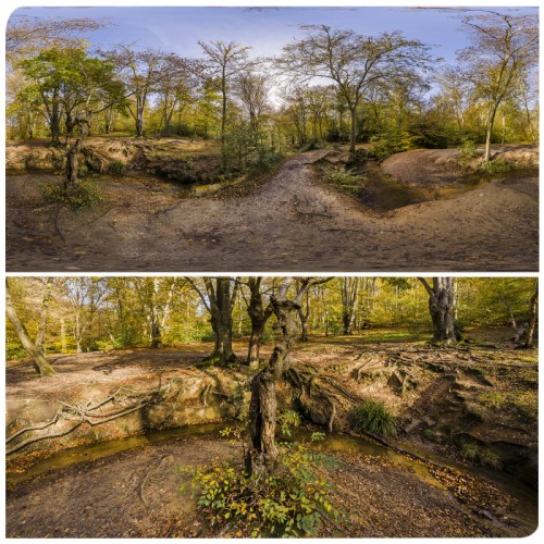 Hdri Panorama Of Epping Forest In High K K Or K Resolution Park Epping Forest