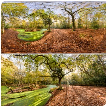 Epping Park 0098 (30k) HDRI Panoramas