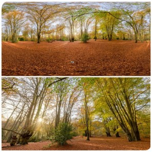 Hdri Panorama Of Epping Forest In High K K Or K Resolution Park Forest London