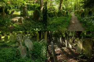 Forgotten Cemetery