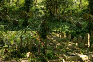 Forgotten Cemetery
