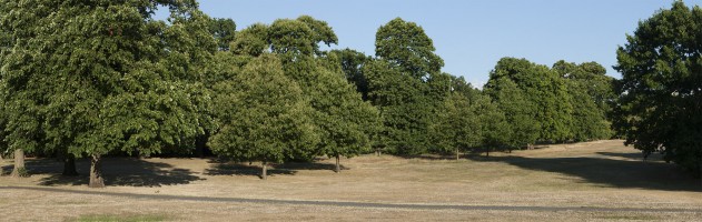 Greenwich Architecture