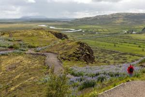 Iceland - Geysir Landscapes