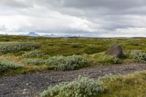 Iceland- Gullfoss Waterfall 