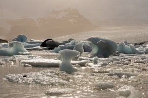 Iceland- Haoldukvisl Glacier