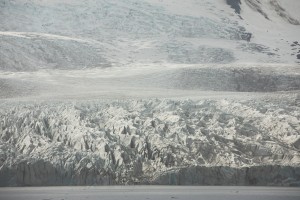 Iceland- Haoldukvisl Glacier