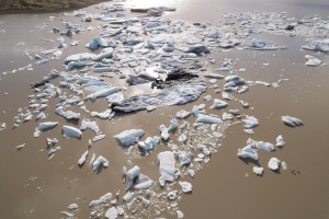 Iceland- Haoldukvisl Glacier