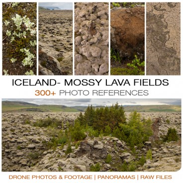 Iceland - Mossy Lava Fields Photo Packs