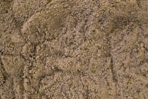 Iceland - Mossy Lava Fields