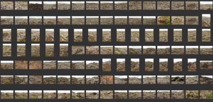 Iceland - Mossy Lava Fields