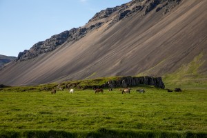 Iceland- Stokksnes