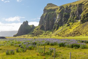 Iceland- Various Landscapes