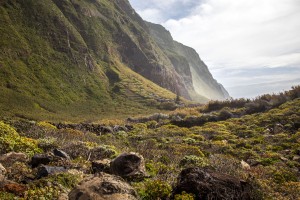 Madeira- Achadas da Cruz