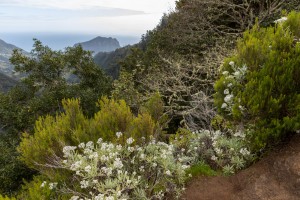 Madeira- Balcoes Viewpoint