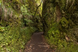 Madeira- Balcoes Viewpoint