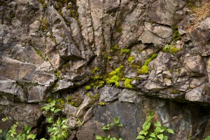 Madeira- Balcoes Viewpoint