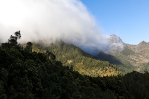 Madeira- Bica da Cana