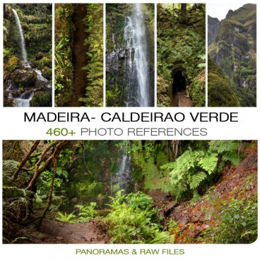 Madeira- Levada do Caldeirao Verde 