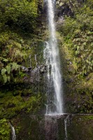 Madeira- Levada do Caldeirao Verde 