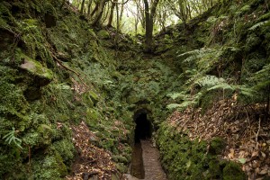 Madeira- Levada do Caldeirao Verde 
