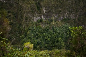 Madeira- Levada do Caldeirao Verde 