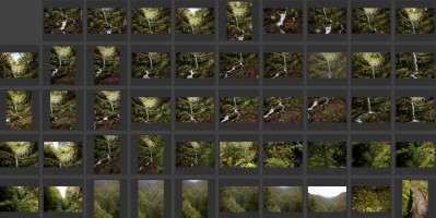 Madeira- Levada do Caldeirao Verde 