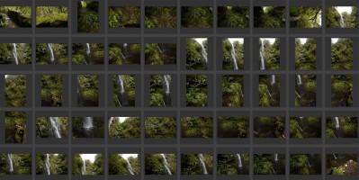 Madeira- Levada do Caldeirao Verde 