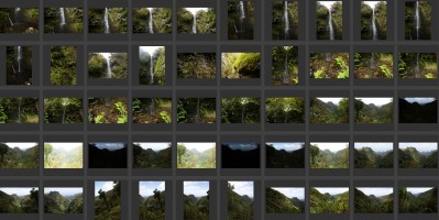 Madeira- Levada do Caldeirao Verde 