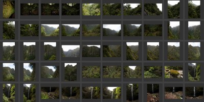 Madeira- Levada do Caldeirao Verde 