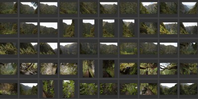 Madeira- Levada do Caldeirao Verde 