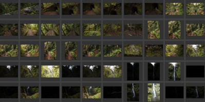 Madeira- Levada do Caldeirao Verde 