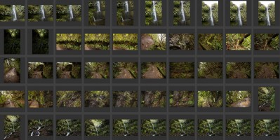 Madeira- Levada do Caldeirao Verde 