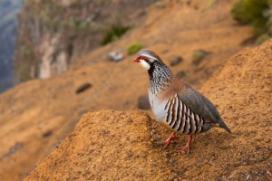 Madeira- Pico Arieiro to Pico Ruivo