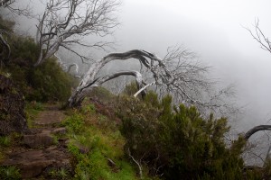 Madeira- Pico Arieiro to Pico Ruivo