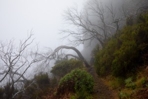 Madeira- Pico Arieiro to Pico Ruivo