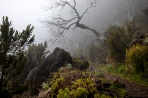 Madeira- Pico Arieiro to Pico Ruivo