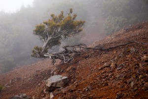Madeira- Pico Arieiro to Pico Ruivo