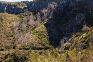 Madeira- Pico Grande
