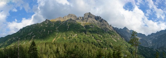 Mountains and forests references