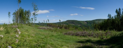 Mountains and forests references