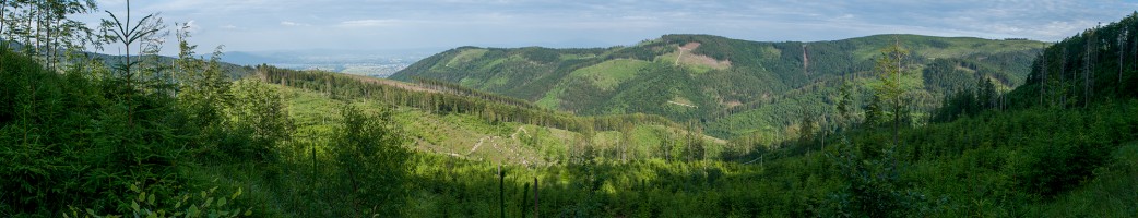 Mountains and forests references