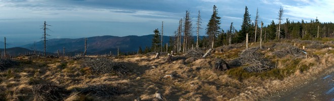 Mountains and forests references