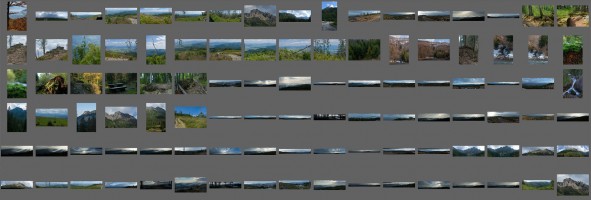 Mountains and forests references