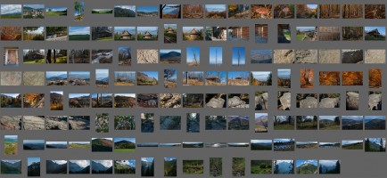 Mountains and forests references